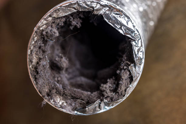 Best HVAC Duct Inspection Services  in Fresno, TX
