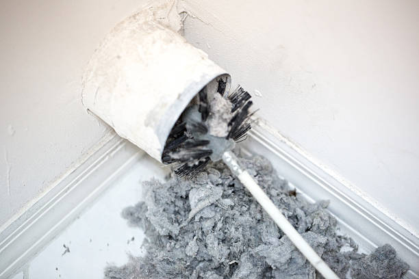 Best Air Duct Sanitizing Services  in Fresno, TX
